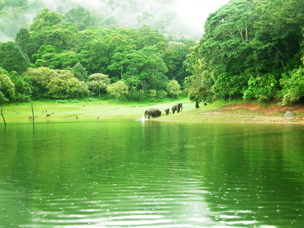 https://d3r8gwkgo0io6y.cloudfront.net/upload/Periyar Wildlife Sanctuary 05.jpg